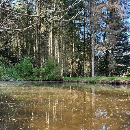 L'écrin De La Forêt