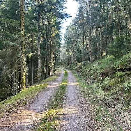 L'ecrin De La Foret Jeanmenil