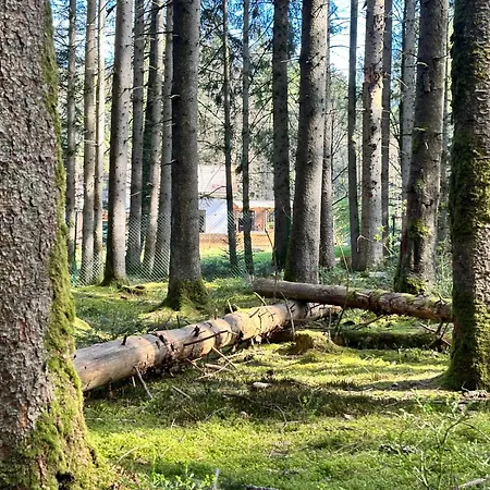 L'ecrin De La Foret Villa