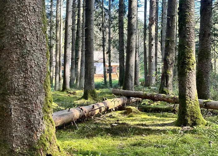 L'ecrin De La Foret Villa