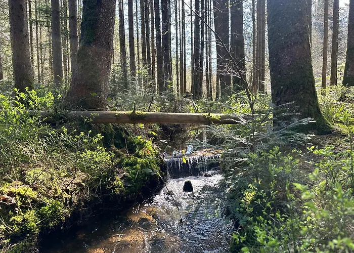 L'ecrin De La Foret * Jeanmenil