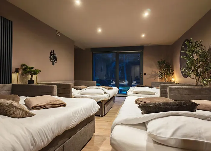 L'ecrin De La Foret Jeanmenil